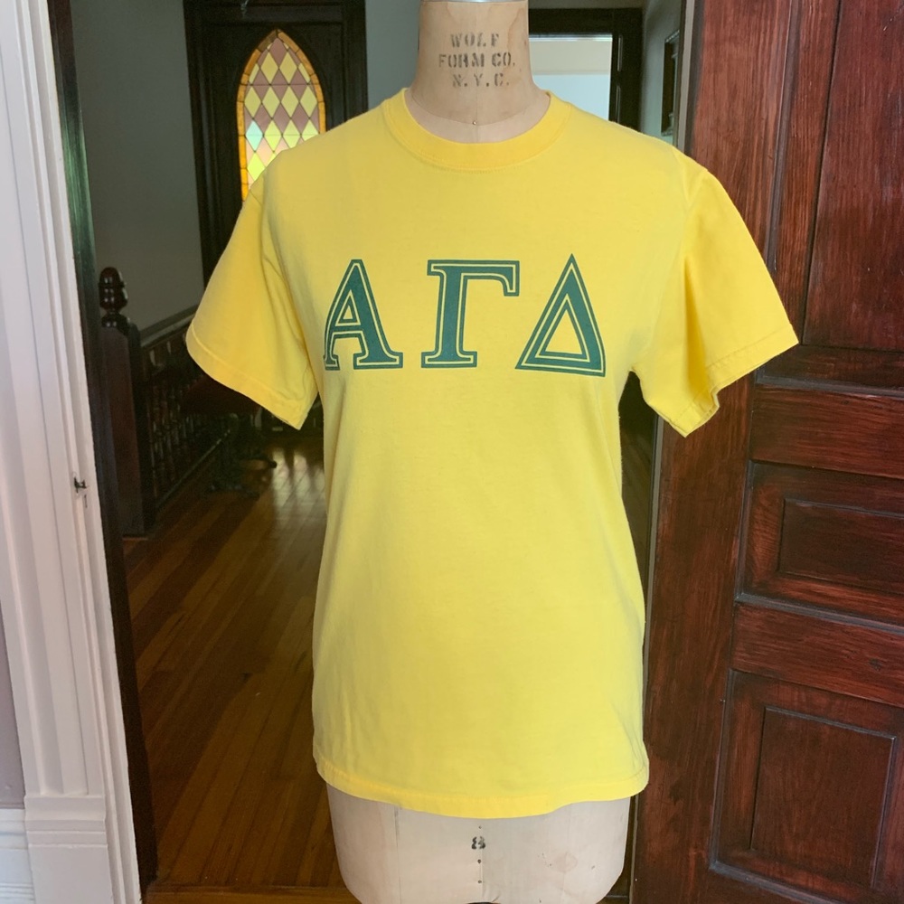 Alpha Gamma Delta Sorority T-shirt Small EUC